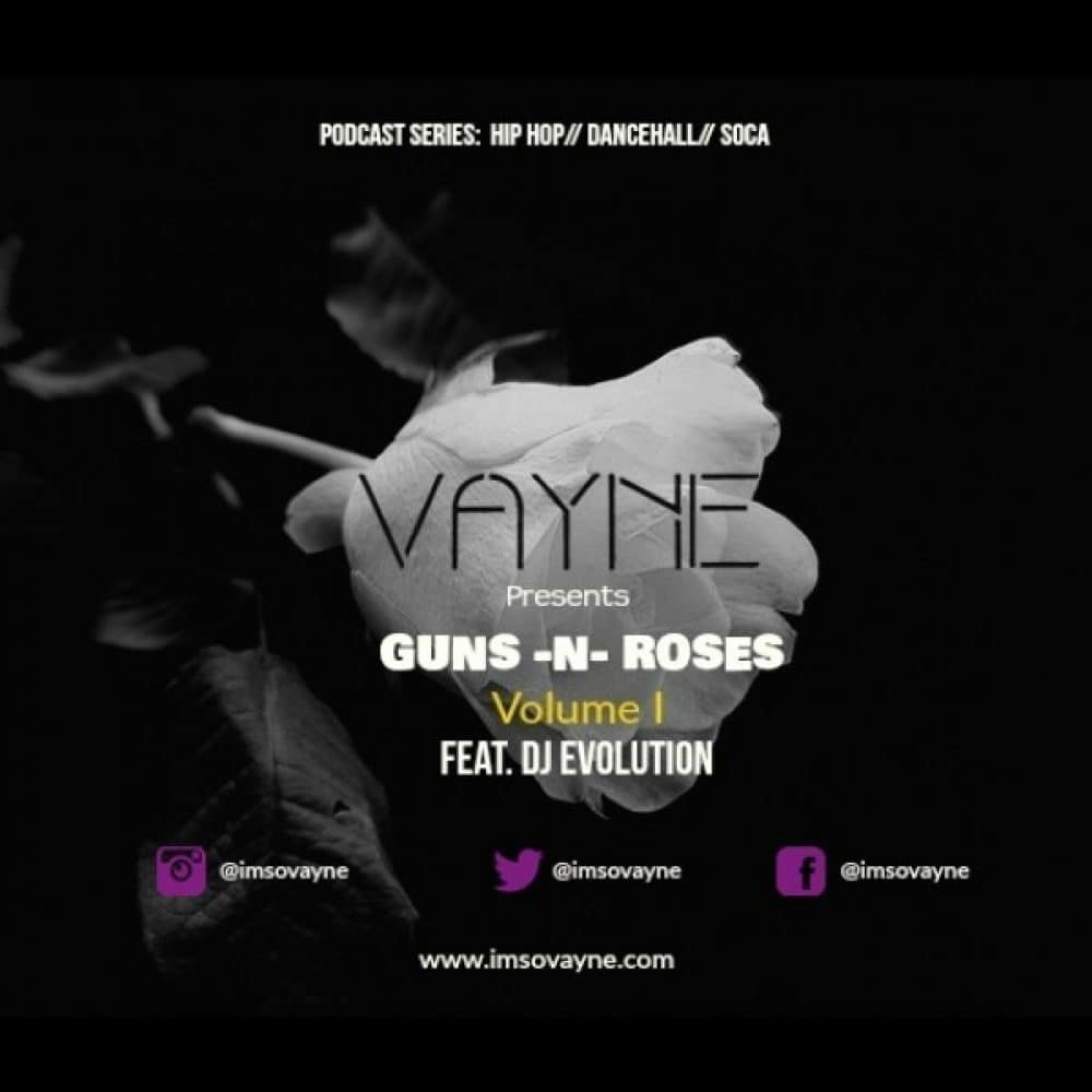 Vayne - Guns N Roses Vol 1 - Mixtape ft Dj Evolution