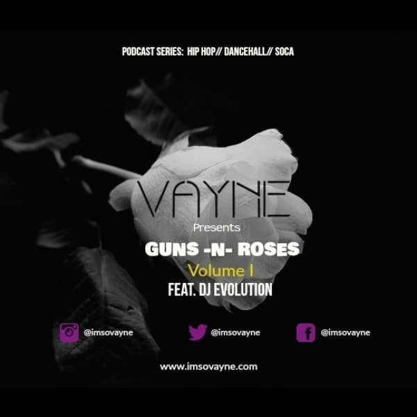 Vayne - Guns N Roses Vol 1 - Mixtape ft Dj Evolution
