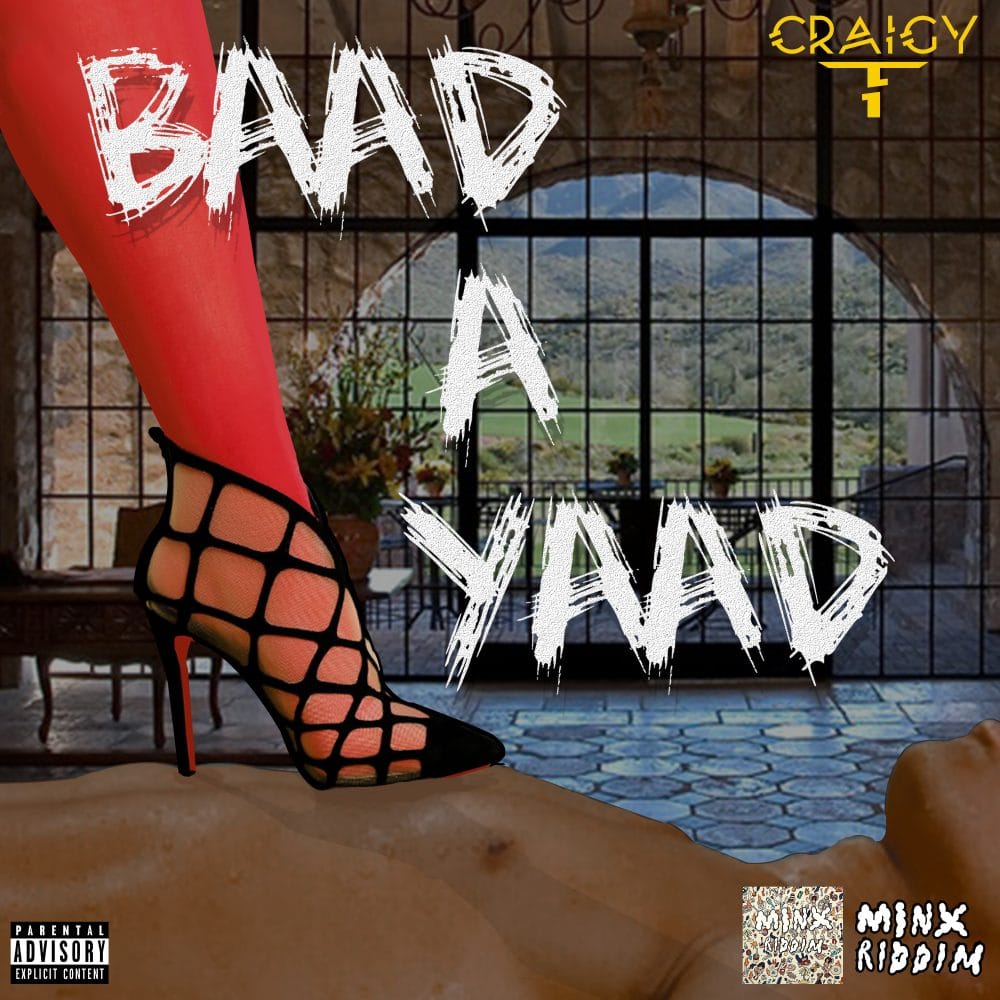 Craigy T - Baad A Yaad - Minx Riddim