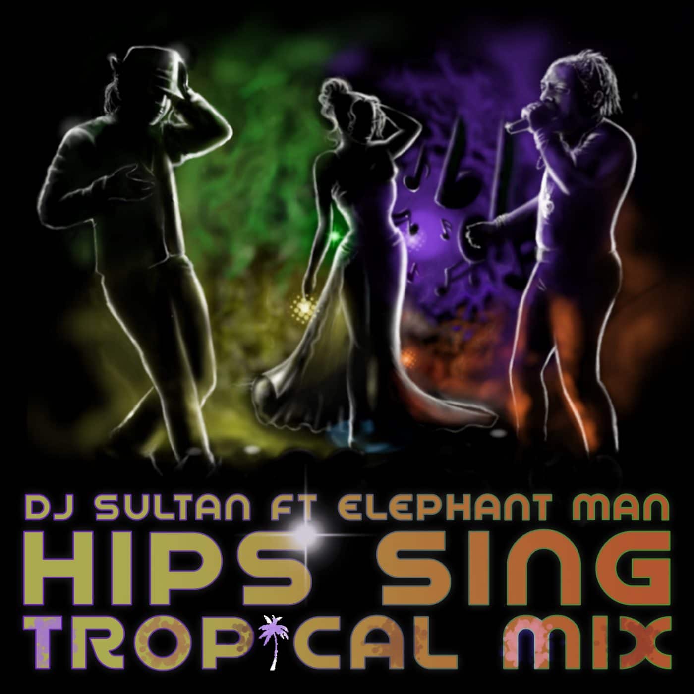 HIPS SING - Dj Sultan ft Elephant Man - Tropical / Dancehall Remix