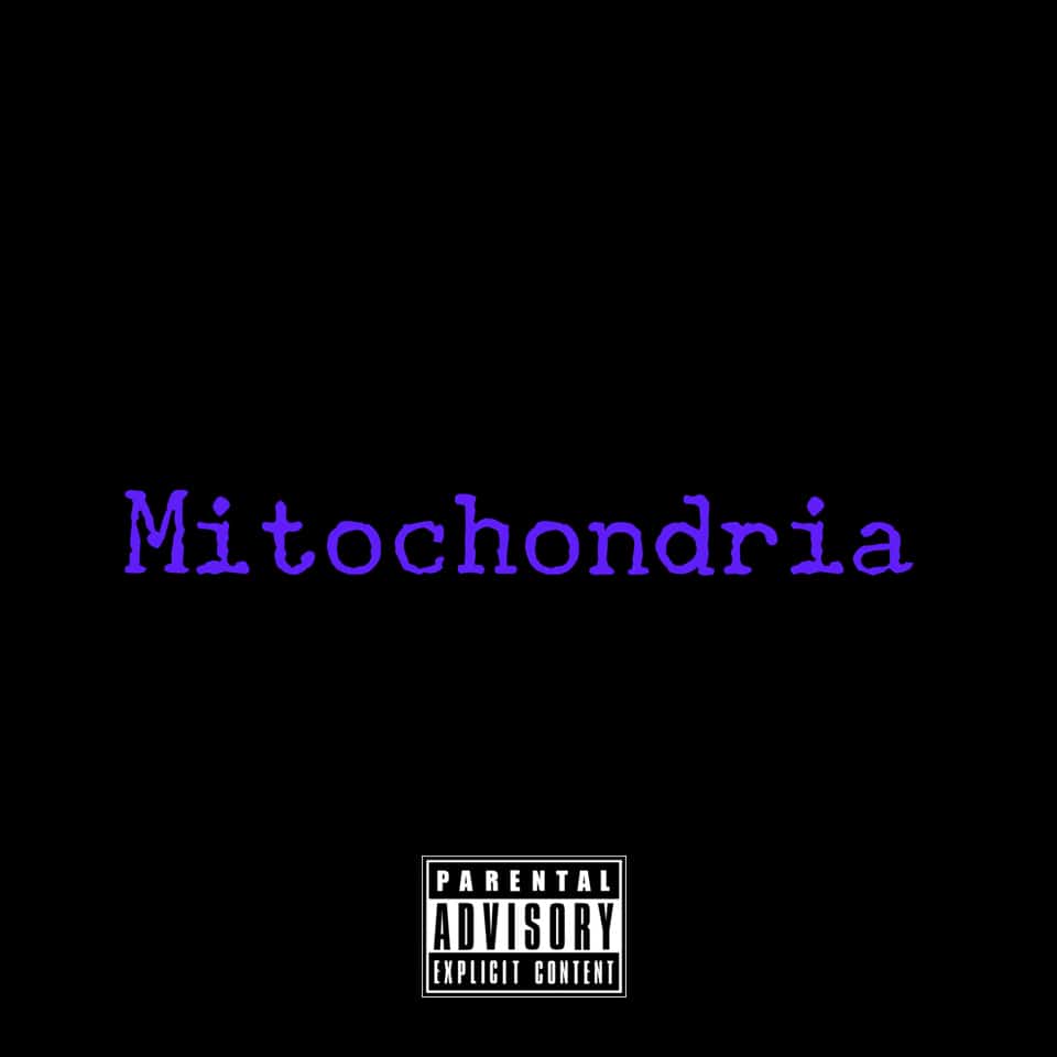 Before my Glory - Bunji Garlin - Mitochondria the Mixtape