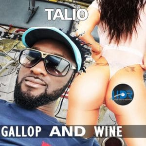 Talio - Gallop And Wine - High Digitz Recordz