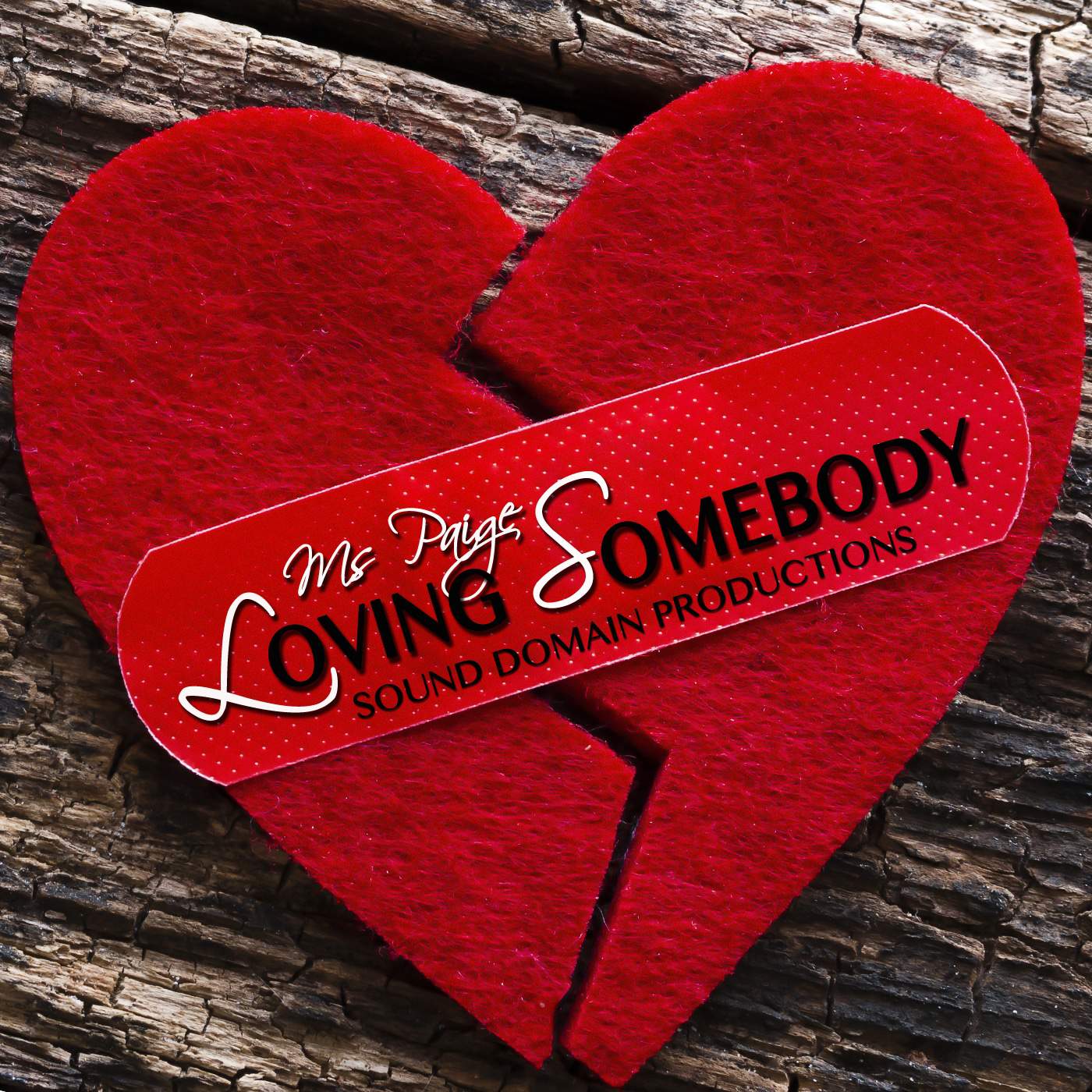 Ms Paige- Loving Somebody mp3