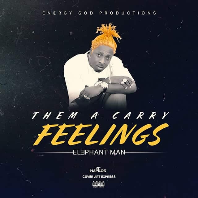 Elephant Man - Them A Carry Feelings -  Energy God Production