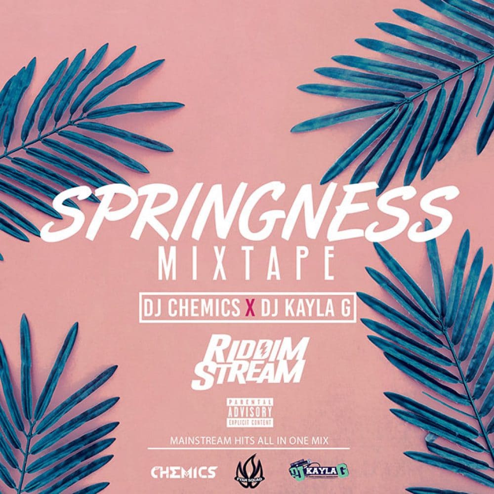 DJ Chemics x DJ Kayla G - Springness (2018 Mainstream Mixtape)