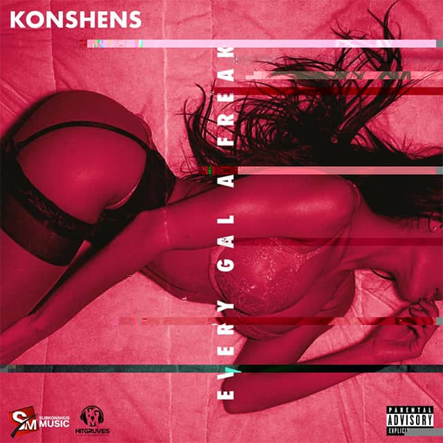 Konshens - Every Gal a Freak - Subkonshus Music | Hitgruves Music
