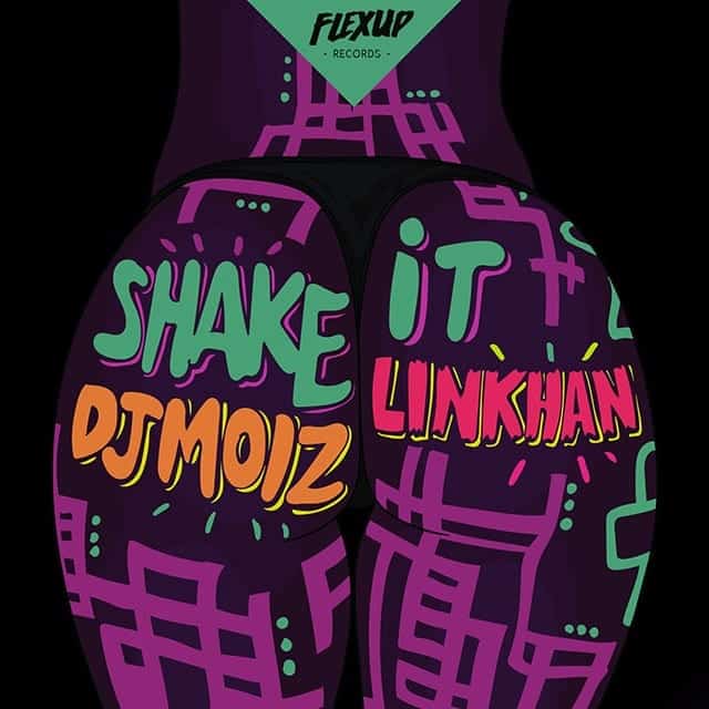 DJ Moiz - Shake It Feat. Linkhan (Original Mix)