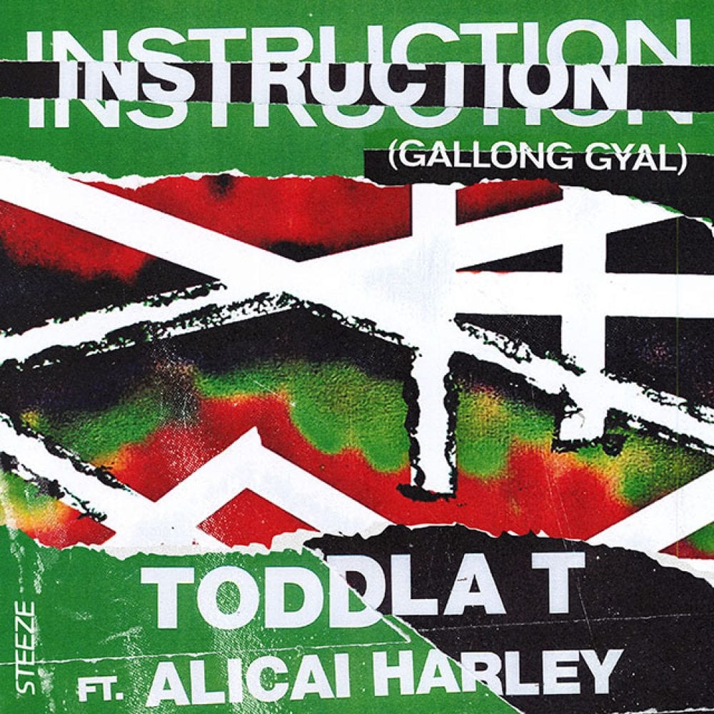 Toddla T - Instruction (Gallong Gyal) feat. Alicai Harley