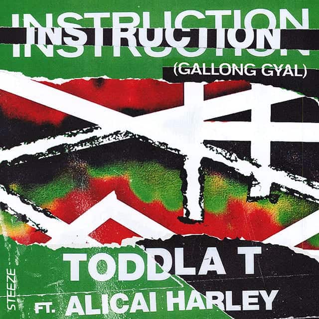 Toddla T - Instruction (Gallong Gyal) feat. Alicai Harley - DJ Pack