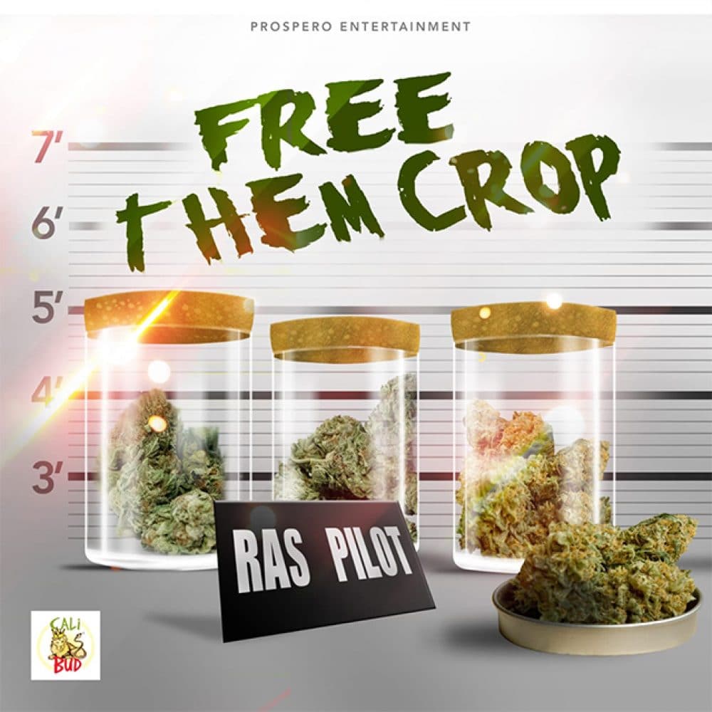 Ras Pilot - Free Them Crop - Prospero Entertainment