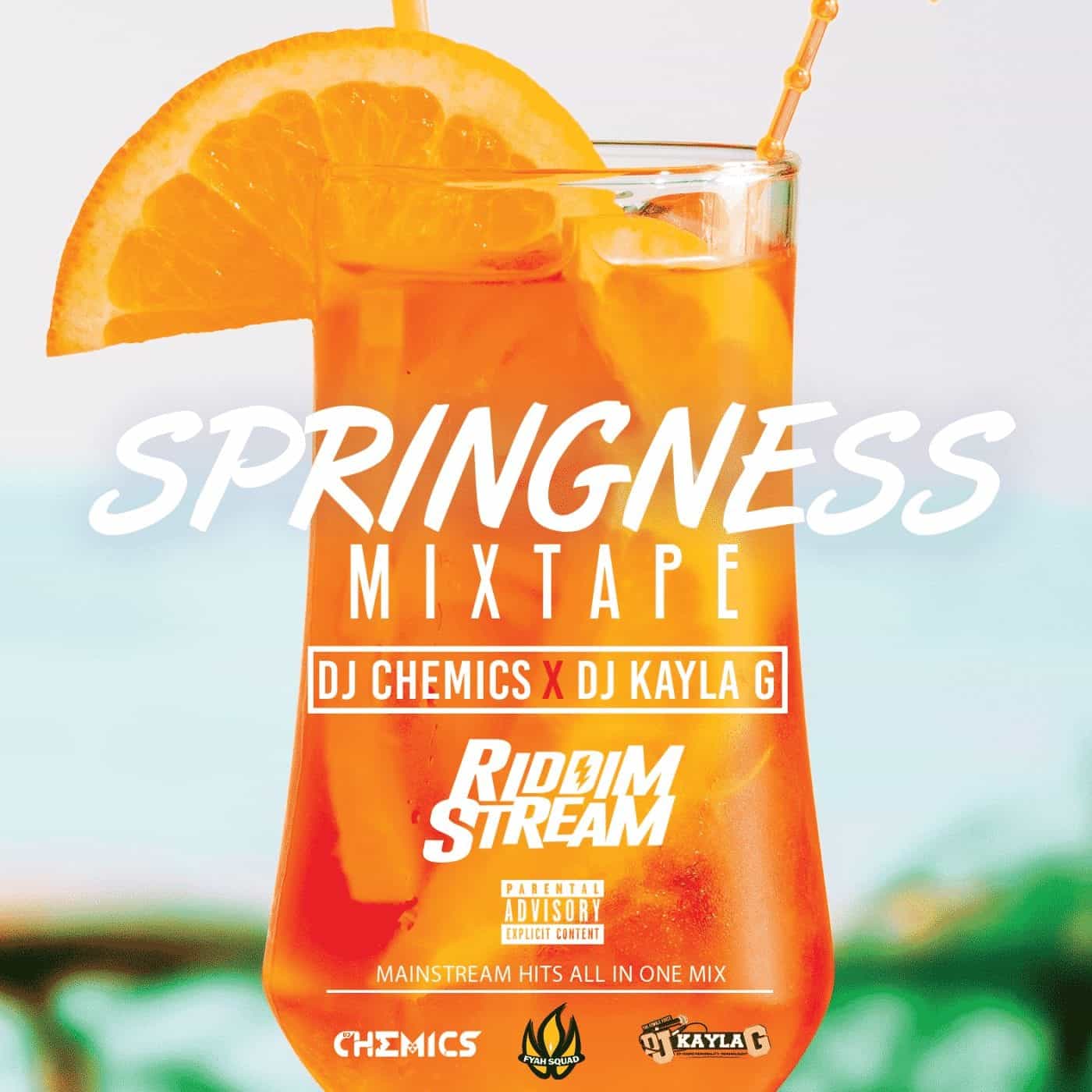 DJ Chemics x DJ Kayla G - Springness (2019 Mainstream Mixtape)