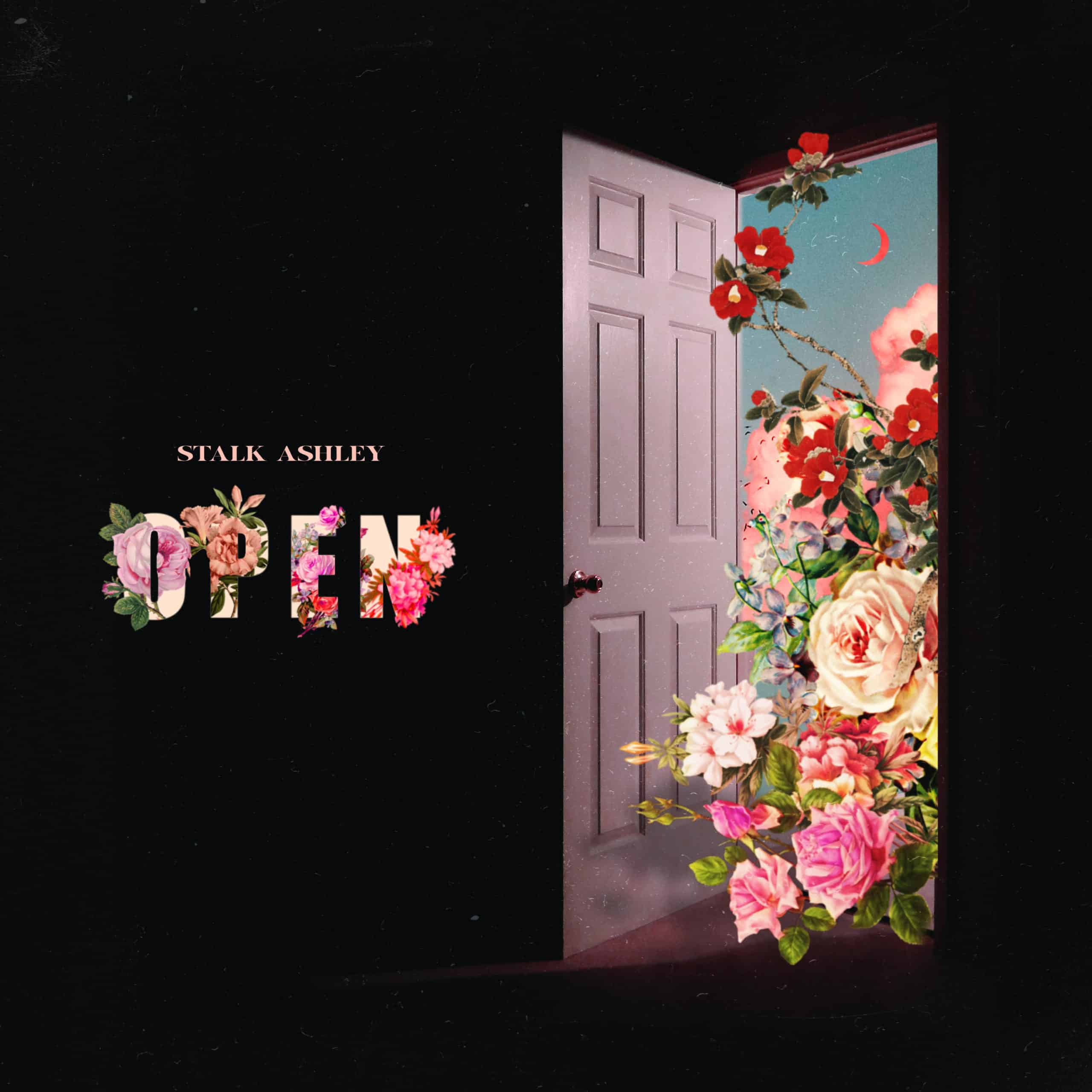Stalk Ashley - Open - Atlantic Records