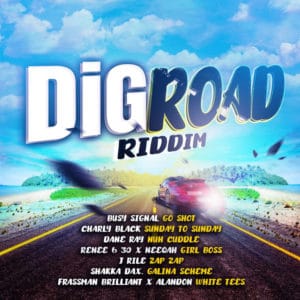 Dig Road Riddim - Various Artists
