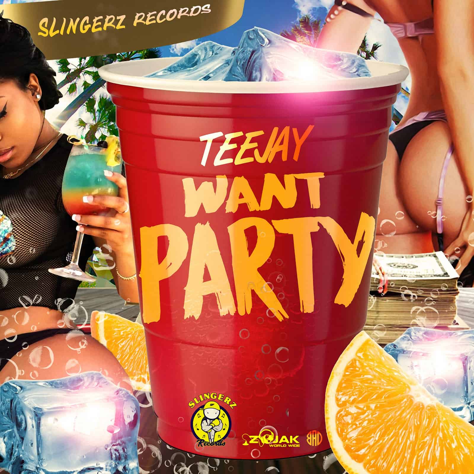 Teejay - Want Party - Slingerz Records