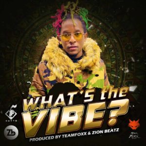 Motto - What's the Vibe?