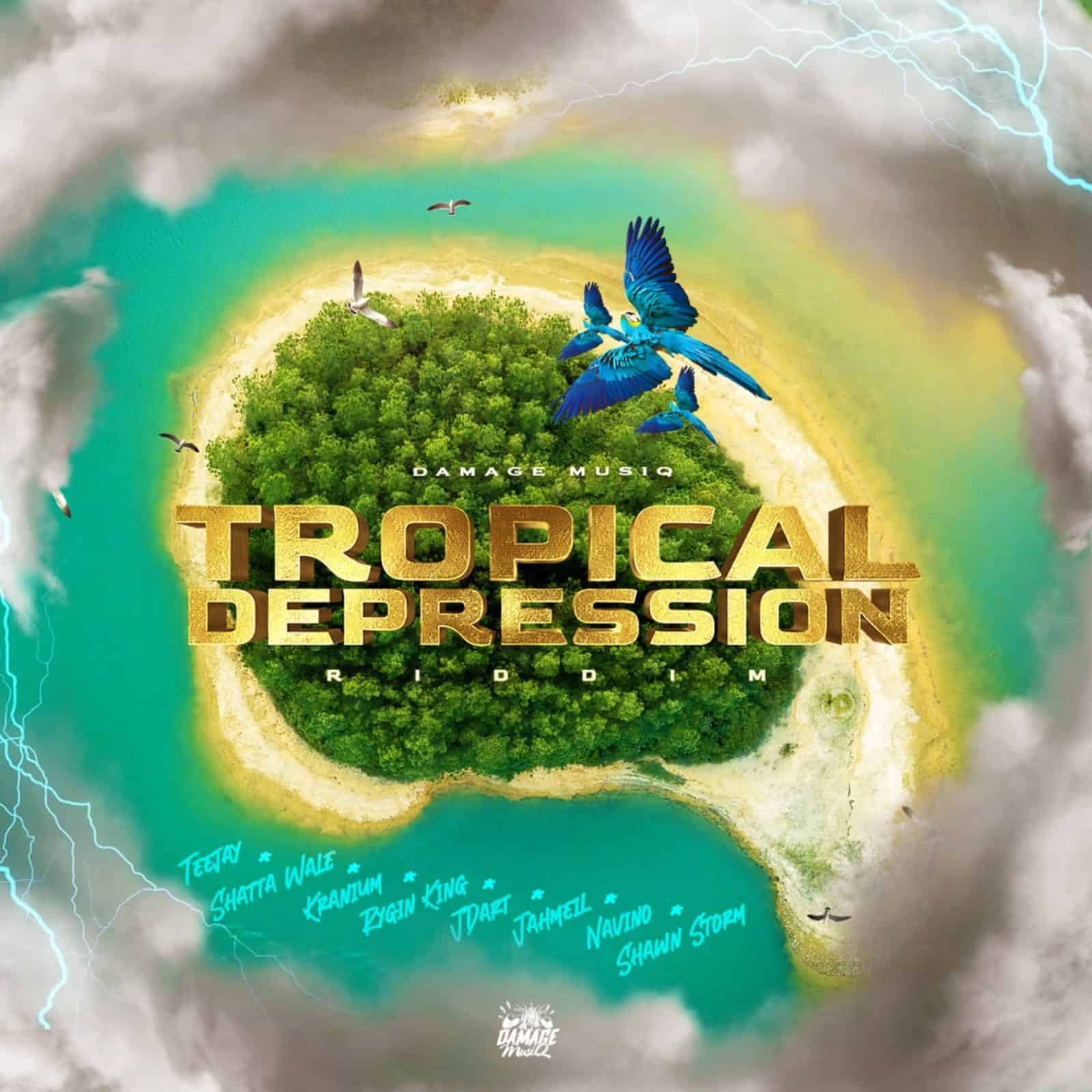 Tropical Depression Riddim - Damage Musiq