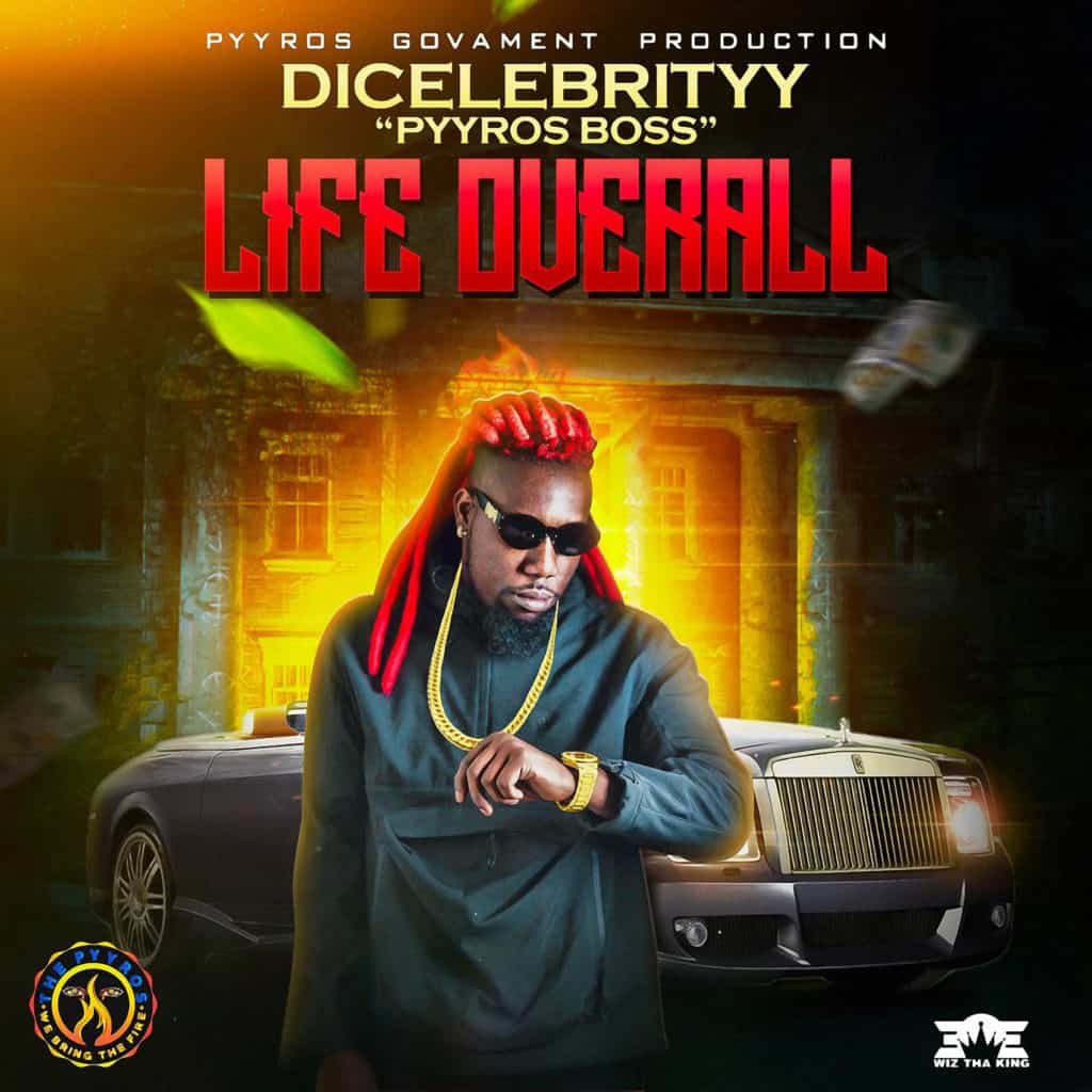 DiCelebrityy - Life Overall