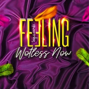 Hypasounds - Feeling Wotless Now