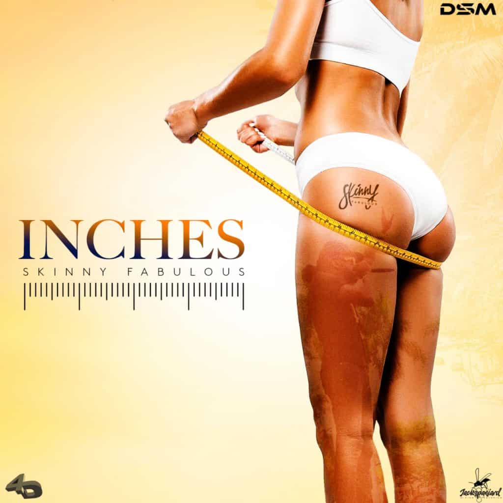 Skinny Fabulous - Inches