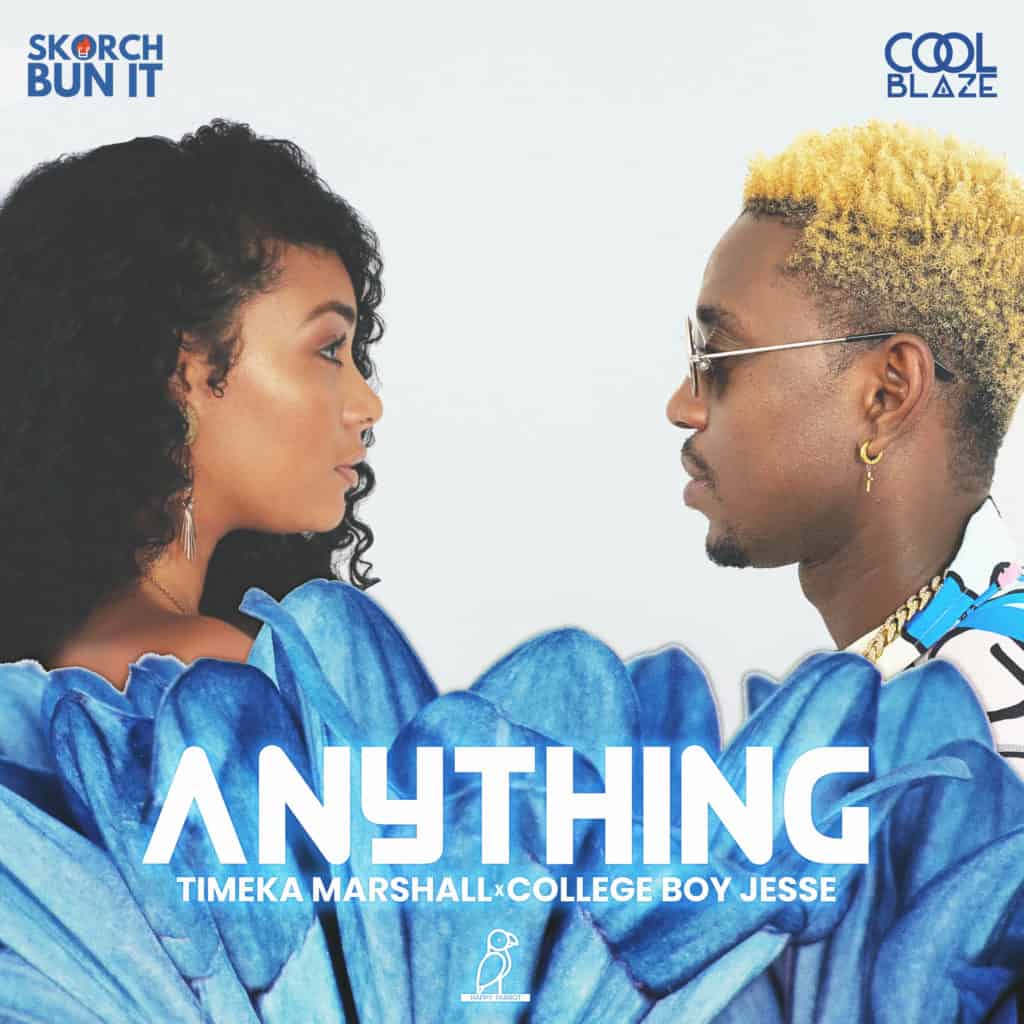 Skorch Bun It x LL CoolBlaze Present - ANYTHING - Timeka Marshall X College Boy Jesse