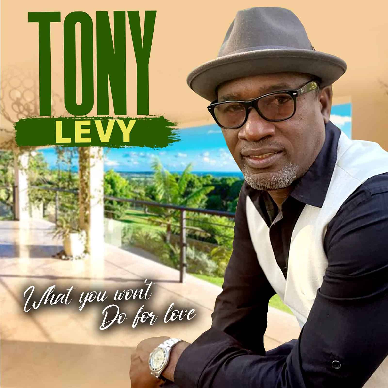 Tony Levy - What you won
