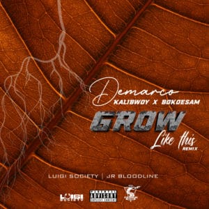 Demarco X Kalibwoy X Bokoesam - Grow Like This (Remix) [feat. Luigi Society & JR Bloodline]