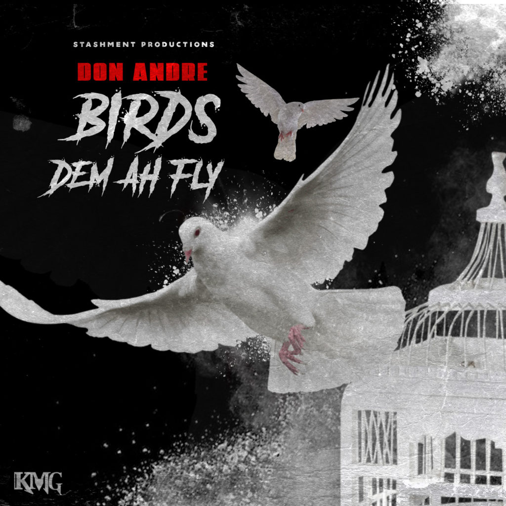 Don Andre - Birds Dem Ah Fly